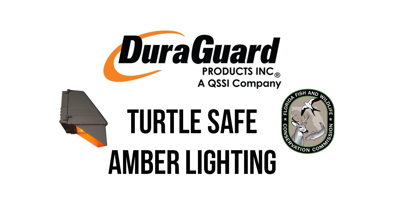Read more about the article DuraGuard Turtle Safe Amber Lighting